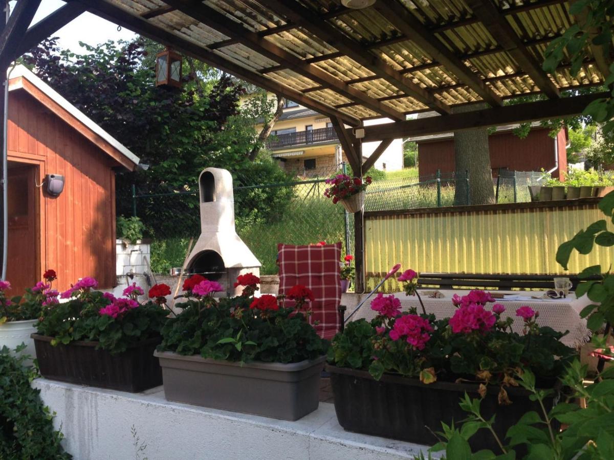 Am Balkon Des Erzgebirges Apartment Bernsbach Luaran gambar