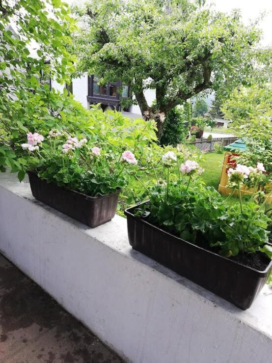 Am Balkon Des Erzgebirges Apartment Bernsbach Luaran gambar